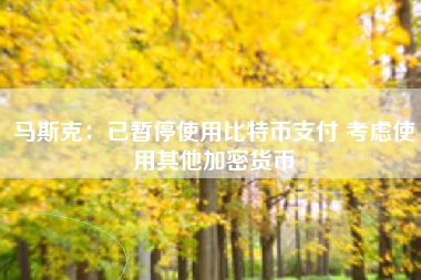 马斯克：已暂停使用比特币支付 考虑使用其他加密货币