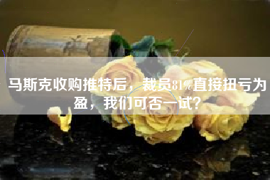 马斯克收购推特后，裁员81%直接扭亏为盈，我们可否一试？