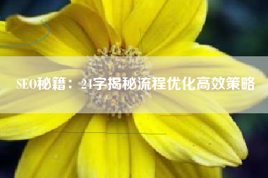 SEO秘籍：24字揭秘流程优化高效策略
