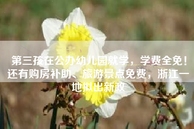 第三孩在公办幼儿园就学，学费全免！还有购房补助、旅游景点免费，浙江一地拟出新政