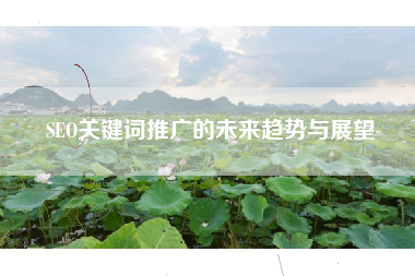 SEO关键词推广的未来趋势与展望