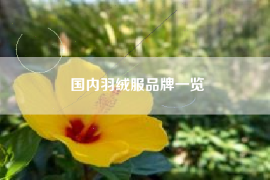 国内羽绒服品牌一览