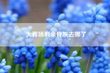 火葬场剩余骨灰去哪了