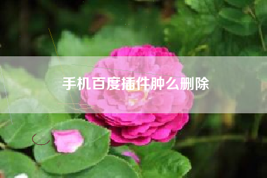手机百度插件肿么删除