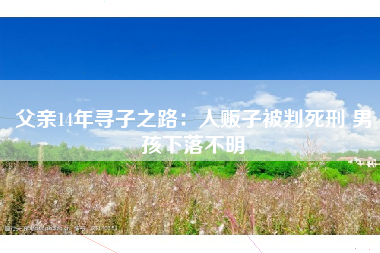 父亲14年寻子之路：人贩子被判死刑 男孩下落不明