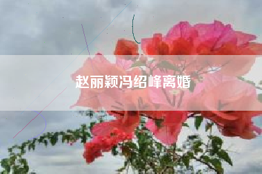 赵丽颖冯绍峰离婚