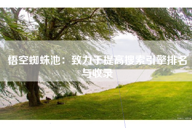 悟空蜘蛛池：致力于提高搜索引擎排名与收录