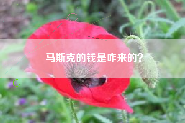 马斯克的钱是咋来的？