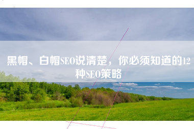 黑帽、白帽SEO说清楚，你必须知道的12种SEO策略