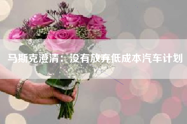 马斯克澄清：没有放弃低成本汽车计划
