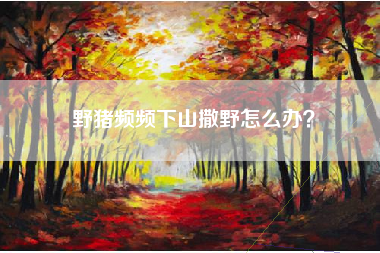 野猪频频下山撒野怎么办？