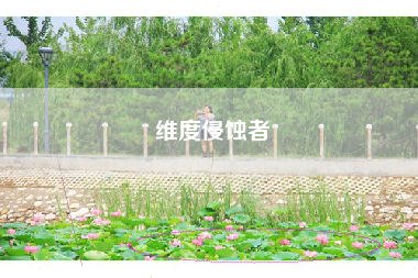 维度侵蚀者