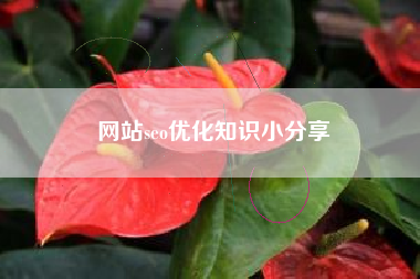 网站seo优化知识小分享