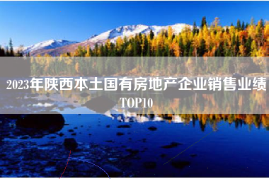 2023年陕西本土国有房地产企业销售业绩TOP10