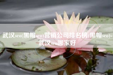 武汉seo(黑帽seo)营销公司排名榜(黑帽seo)-武汉seo哪家好