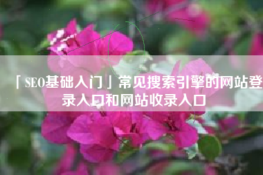 「SEO基础入门」常见搜索引擎的网站登录入口和网站收录入口