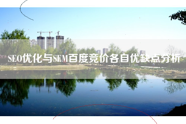 SEO优化与SEM百度竞价各自优缺点分析
