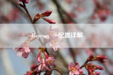 Haproxy     配置详解