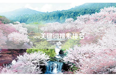 seo关键词搜索排名
