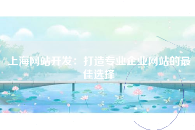 上海网站开发：打造专业企业网站的最佳选择