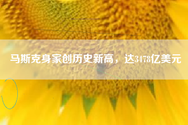马斯克身家创历史新高，达3478亿美元