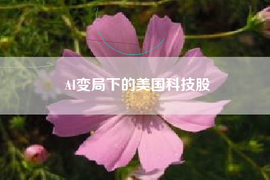AI变局下的美国科技股