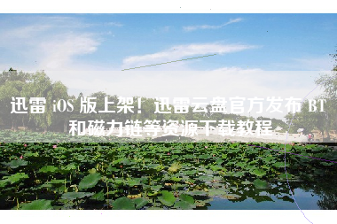 迅雷 iOS 版上架！迅雷云盘官方发布 BT 和磁力链等资源下载教程