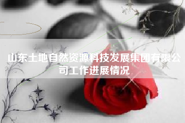 山东土地自然资源科技发展集团有限公司工作进展情况 山东土地自然资源科技发展集团有限公司工作进展情况