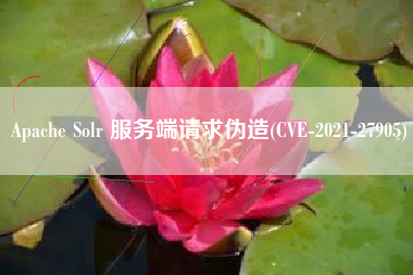 Apache Solr 服务端请求伪造(CVE-2021-27905)