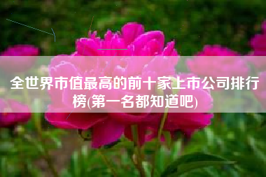 全世界市值最高的前十家上市公司排行榜(第一名都知道吧)