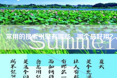 常用的搜索引擎有哪些，哪个最好用？