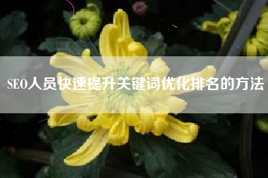 SEO人员快速提升关键词优化排名的方法