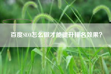 百度SEO怎么做才能提升排名效果？