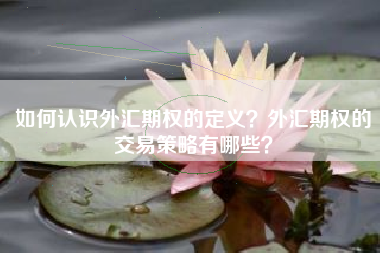 如何认识外汇期权的定义？外汇期权的交易策略有哪些？