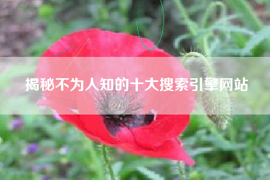 揭秘不为人知的十大搜索引擎网站