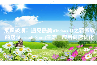 乘风破浪，遇见最美Windows 11之新微软商店(Microsoft Store)生态 - 应用商店优化