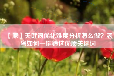 【原】关键词优化难度分析怎么做？老鸟如何一键筛选优质关键词