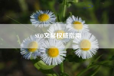 SEO文案权威指南