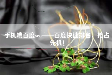 手机端百度seo——百度快速排名，抢占先机！
