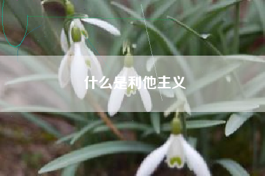 什么是利他主义 什么是利他主义