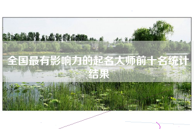 全国最有影响力的起名大师前十名统计结果