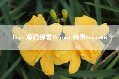 linux 源码部署Haproxy 转发websocket