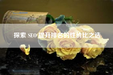 探索 SEO 提升排名的性价比之选
