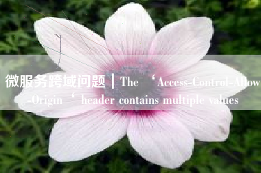 微服务跨域问题｜The ‘Access-Control-Allow-Origin‘ header contains multiple values