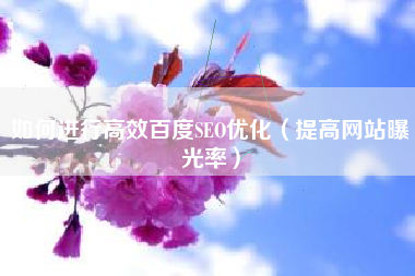 如何进行高效百度SEO优化（提高网站曝光率）