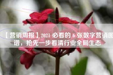【营销周报】2021 必看的 6 张数字营销图谱，抢先一步看清行业全局生态