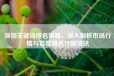 深圳关键词排名策略，深入剖析市场行情与百度排名代做资讯