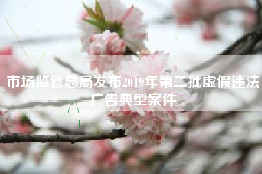市场监管总局发布2019年第二批虚假违法广告典型案件