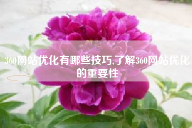360网站优化有哪些技巧,了解360网站优化的重要性