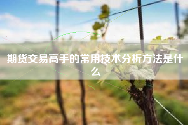 期货交易高手的常用技术分析方法是什么